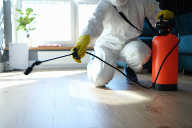 Reliable Sewage Cleanup contractor in Franklin, NC by Trauma Clean Pros